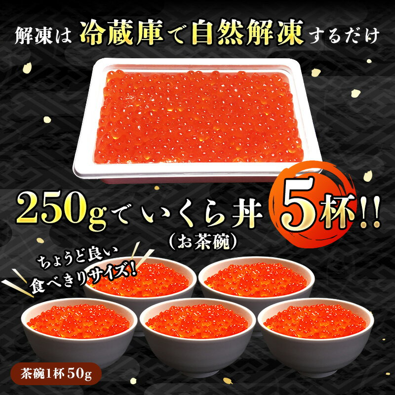 【ふるさと納税】高評価4.8 いくら 醤油漬け 250g イクラ 鮭 国産 北海道産 ikura 小分け いくら丼 レシピ お取り寄せ おにぎり お寿司 ちらし寿司 おすすめ 魚卵 軍艦 ランキング 送料無料 冷凍 敬老の日 贈答 用 品 絶品 シャケ しゃけ 北海道 釧路