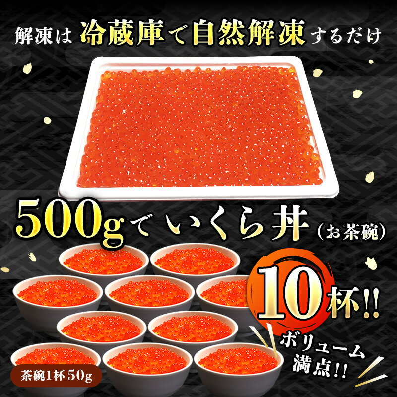 【ふるさと納税】北海道産 いくら 醤油漬け 500g × 10個セット | いくら イクラ 北海道 鮭 鮭卵 鮭いくら いくら醬油漬け 魚介類 お取り寄せ 海鮮 醤油 高級 人気 美味しい 国産 北海道産 しょうゆ漬け 釧路町 ランキング 釧之助本店 世界標準 衛生管理 HACCP 認証