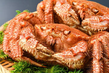 【ふるさと納税】【北海道産】浜ゆで毛ガニ 2尾(合計1kg)【 毛蟹 かに 北海道 釧路町 】