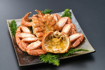 【ふるさと納税】【北海道産】浜ゆで毛ガニ 2尾(合計1kg)【 毛蟹 かに 北海道 釧路町 】