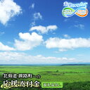 【ふるさと納税】北海道 釧路町 ふるさと 応援寄附金 1,000円 | 返礼品なし / 返礼品ナシ | <ご寄附のみとなります > | kushiro town ワンストップ特例制度 オンライン 釧路町 釧路超 特産品