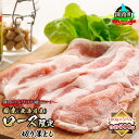 【ふるさと納税】 豚肉 ロース 切り落とし 100g×5パック 計500g | 国産（北海道産） ヒロセ 豚ロース 小分けが嬉しい！ 北海道 釧路町 すぐ 届く ワンストップ特例制度 オンライン