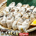 ＼先行予約／仙鳳趾名産 むき牡蠣 500g×1コ K5-5＜出荷時期：2024年5月20日以降順次出荷＞ 豊洲市場で大人気のため期間限定出荷 北海道 釧路町 仙鳳趾 かき漁師直送 剥き 牡蠣 むき身 剥き身 ワンストップ特例制度 オンライン