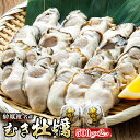 【ふるさと納税】\先行予約/北海道 仙鳳趾名産 むき牡蠣 500g×2コ K5-6<出荷時期:2025年5月20日以降 順次出荷> 豊洲市場で大人気のため期間限...