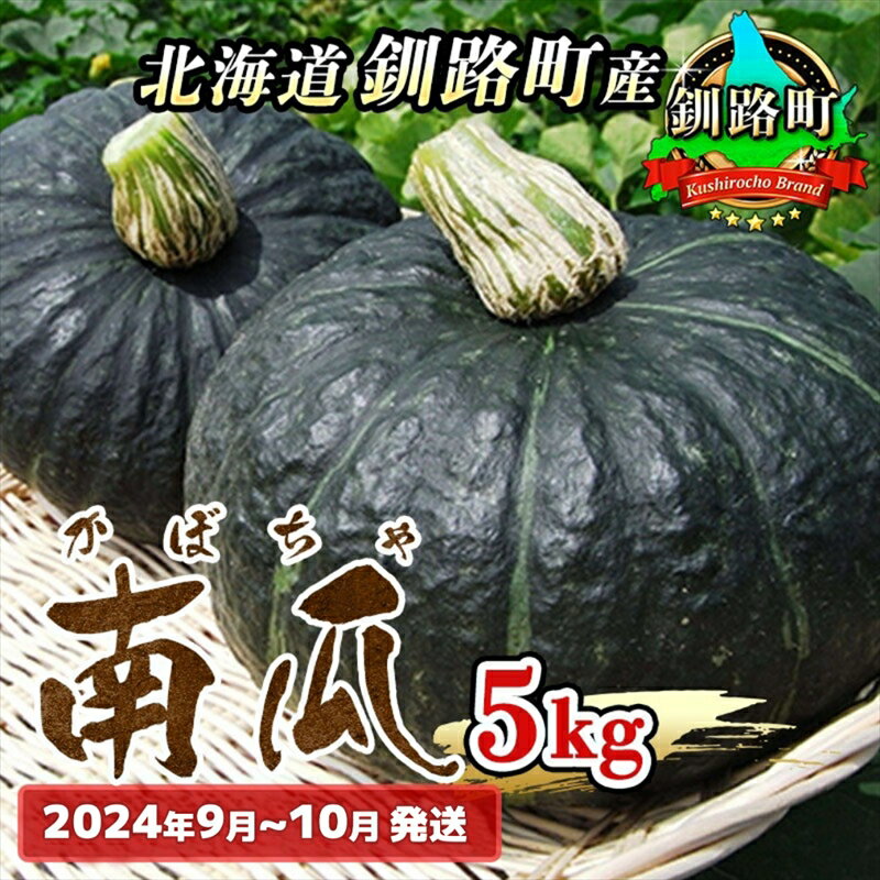 ڤդ뤵Ǽǡڲ񡡶ϩĮ ڤܤ5kg 2024ǯ910ȯ   ̳ƻ ϩĮ  󥹥ȥå 饤