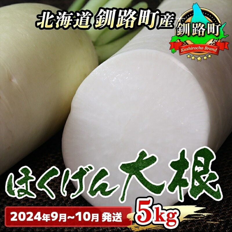 野菜王国 釧路町産 [ほくげん大根]5kg [2024年9月〜10月発送][ 野菜 だいこん 北海道 釧路町 ] ワンストップ特例制度 オンライン