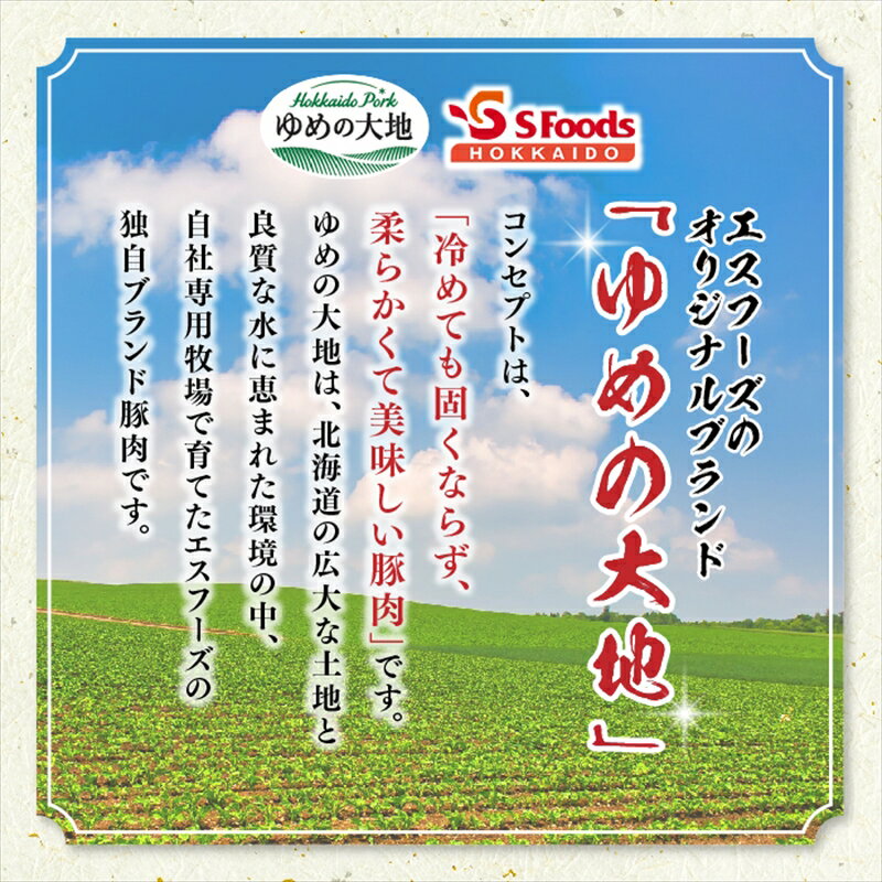 【ふるさと納税】豚肉 バラ スライス 小分け 国産 北海道産 200g×10パック（計2kg）エスフーズ 人気 ブランド ゆめの大地 豚バラ 精肉 冷凍【 北海道 釧路町 】 ワンストップ特例制度 オンライン