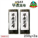 【ふるさと納税】 北海道産 昆布 早煮昆布 250g×2袋 計500g 釧路 くしろ 釧路昆布 国産 昆布 海藻 おでん こんぶ おかず 煮物 コンブ 保存食 ...