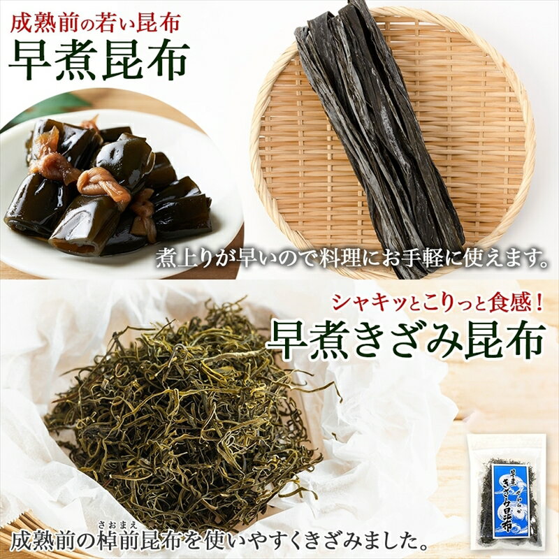 【ふるさと納税】 北海道産 昆布 早煮昆布 250g×2袋 早煮きざみ昆布 50g×3袋 計650g 釧路 こんぶ おでん きざみ昆布 おかず コンブ 煮物 海藻 詰め合わせ 早煮 保存食 乾物 お取り寄せ 送料無料 北連物産 きたれん 北海道 釧路町 ワンストップ特例制度 オンライン