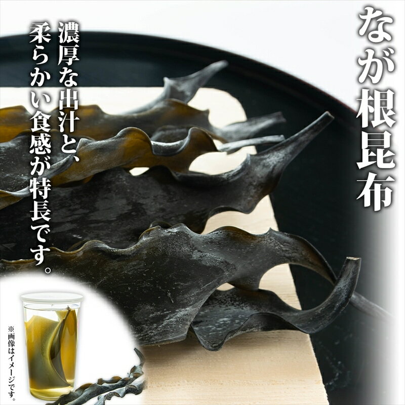【ふるさと納税】北海道産 昆布 2種セット なが根昆布 150g×2袋 とろろ昆布 180g 計480g ねこあし昆布 根昆布 根こんぶ 根コンブ 昆布 こんぶ コンブ 昆布水 乾物 海藻 お祝い お取り寄せ ギフト 山田物産 北海道 釧路町 釧路超 特産品
