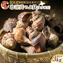 【ふるさと納税】楽天限定 50セット限り【訳あり】北海道 釧路町 昆布森産 真つぶ貝(エゾボラ)3kg殻付き あぶら(要唾液腺)要除去 港直送 冷凍 刺身 刺し...