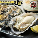 【ふるさと納税】先行予約 北海道 仙鳳趾名産 牡蠣 + かきナイフ付き【大きさ と 個数が選べる】かき漁師直送 K1【出荷時期 2025年9月1日ごろ~順次出荷予定】センポウシ 釧路町の東 厚岸湾の西 カキの名産地 北海道 釧路町 釧路超 特産品 br02