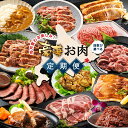 【ふるさと納税】毎月変わる楽しみ 豪華お肉 定期便 【 回数が選べる 】 ラム 牛サガリ ハンバーグ ホルモン カレー スパイシービーフ 豚ハラミ スパイシー ...
