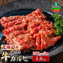 【ふるさと納税】【訳あり】【楽天限定】 国産 牛肉 味付け 牛カルビ 200g×5パック 合計1kg 焼肉 冷凍 家庭用 焼き肉用 | 味付きカルビ タレ味 小...