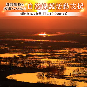 【ふるさと納税】釧路湿原を未来へつなぐ自然保護活動支援 感謝状 のみ贈呈 <1口 10,000円 より>| 細岡展望台からエゾフクロウを見守る 北海道 釧路町 釧路超 特産品