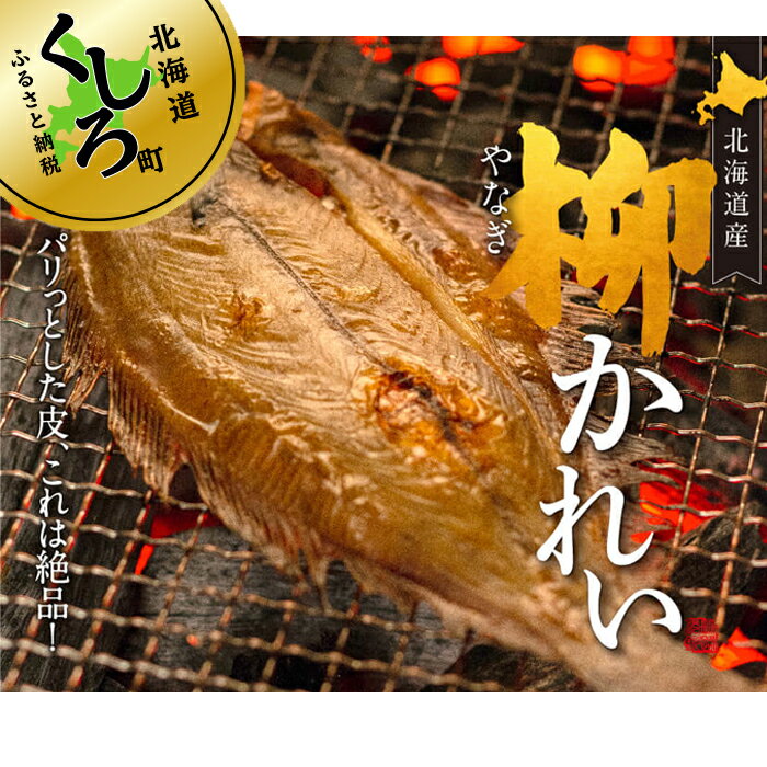 【ふるさと納税】北海道産特大柳かれい一夜干し1尾×3個セット【干物ひもの鰈北海道釧路町】