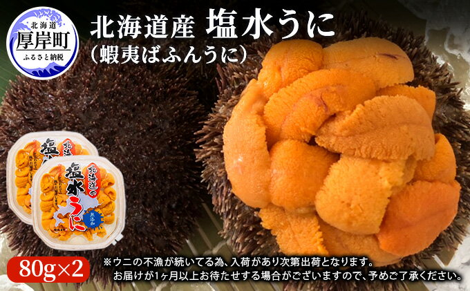 【ふるさと納税】北海道産塩水うに（蝦夷ばふんうに）100g×2　【魚貝類・雲丹・ばふんうに・濃厚・新鮮】　お届け：※9月は配送不可期間となります。