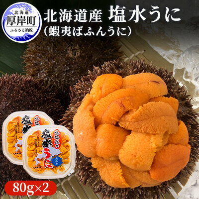 【ふるさと納税】北海道産塩水うに（蝦夷ばふんうに）100g×2　【魚貝類・雲丹・ばふんうに・濃厚・新鮮】　お届け：※9月は配送不可期間となります。