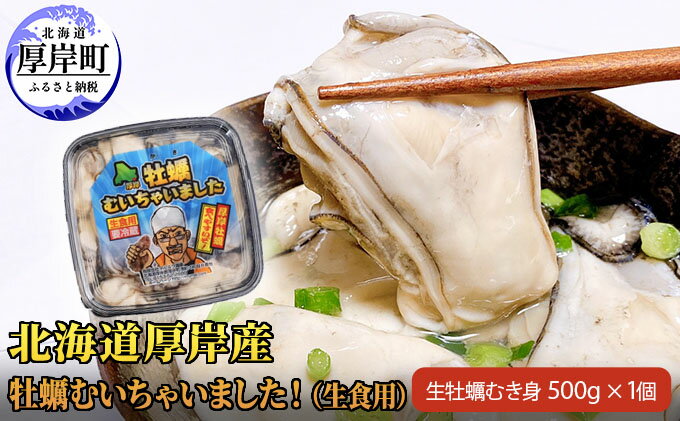 【ふるさと納税】北海道厚岸産　牡蠣むいちゃいました！（生食用）500g×1　【魚貝類・生牡蠣・かき・カキ・送料無料・新鮮・濃厚】