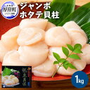 【ふるさと納税】ジャンボホタテ貝柱 1kg 【魚貝類・帆立】