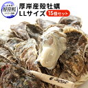 【ふるさと納税】厚岸産殻牡蠣LLサイズ15個セット 【魚介類・カキ】