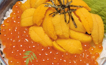 【ふるさと納税】【北海道産】塩水うに(蝦夷ばふんうに)100g×1・いくら100g×1 【ウニ・雲丹・魚貝類・いくら・魚卵】 お届け:2021年10月1日〜2022年1月30日