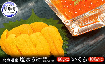 【ふるさと納税】【北海道産】塩水うに(蝦夷ばふんうに)100g×2・いくら100g×2 【ウニ・雲丹・魚貝類・いくら・魚卵】 お届け:2021年10月1日〜2022年1月30日