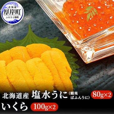 【ふるさと納税】【北海道産】塩水うに(蝦夷ばふんうに)100g×2・いくら100g×2 【ウニ・雲丹・魚貝類・いくら・魚卵】 お届け:2021年10月1日〜2022年1月30日