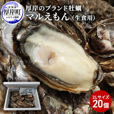 【ふるさと納税】厚岸のブランド牡蠣「マルえもん」2Lサイズ20個（生食用）　【魚貝類・生牡蠣・かき・牡蠣・カキ】