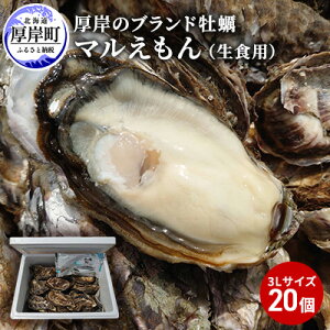 【ふるさと納税】厚岸のブランド牡蠣「マルえもん」3Lサイズ20個（生食用）　【魚貝類・生牡蠣・かき・牡蠣・カキ】