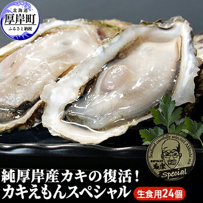 【ふるさと納税】純厚岸産カキの復活！カキえもんスペシャル（生食用24個）　【魚貝類 生牡蠣 かき メルマガ掲載商品2】　お届け：2023年11月中旬～12月15日、2024年1月10日～7月30日まで　