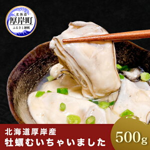 【ふるさと納税】牡蠣 北海道厚岸産 牡蠣むいちゃいました！ 生食用 500g×1 むき身　【 生食 むき身 生牡蠣 貝 海鮮 魚介類 新鮮 厚岸 】