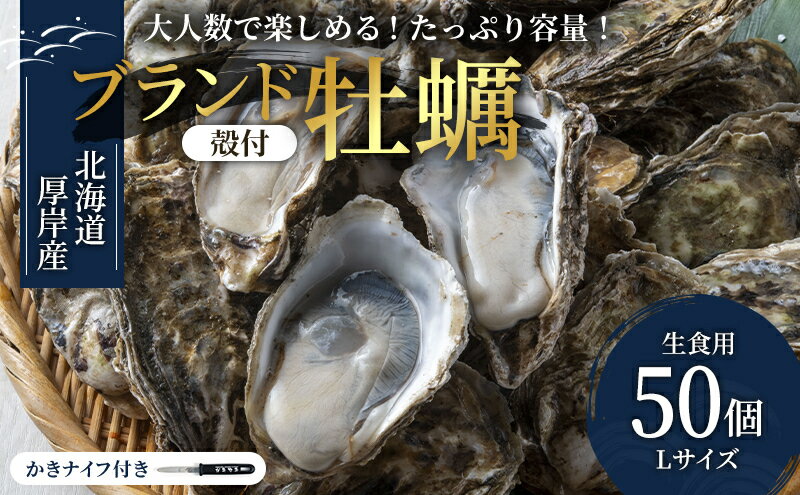 【ふるさと納税】パーティー用 北海道 厚岸産牡蠣 Lサイズ50個入（目安：10人前） ふるさと納税 北海道 牡蠣 カキ かき 生食 生食用 生牡蠣 パーティー ミルク 魚貝類 殻付き牡蠣 シーフード 　お届け：※12月20日～1月8日配送不可