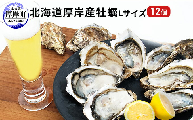 【ふるさと納税】北海道厚岸産 牡蠣 Lサイズ 1ダース（12個入り） 生食用　【 生食 生牡蠣 貝付き牡蠣 貝 海鮮 魚介類 シーフード 12個入り 殻付き牡蠣 　メルマガ掲載商品1】