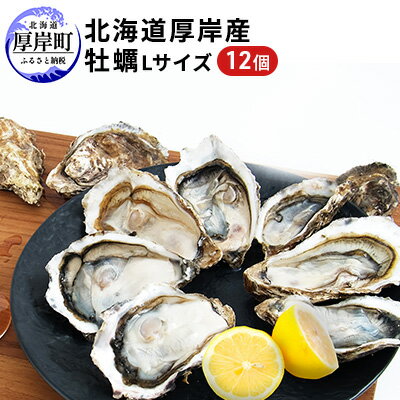 【ふるさと納税】北海道厚岸産 牡蠣 Lサイズ 1ダース（12個入り） 生食用　【 生食 生牡蠣 貝付き牡蠣...