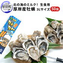 【ふるさと納税】北の海のミルク！ 厚岸産 牡蠣 3Lサイズが50個！ 生食用　【 生食 生牡蠣 貝付き牡蠣 貝 海鮮 魚介類 3L 殻付き牡蠣 メルマガ掲載商品3】　お届け：2024年1月10日〜