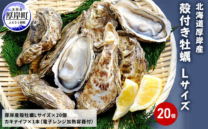 【ふるさと納税】厚岸産 殻付き牡蠣Lサイズ20個入(加熱容器付)北海道 牡蠣 カキ かき 生食 生食用 ミルク レンジ　【魚貝類 生牡蠣 かき カキ 送料無料 新鮮 濃厚 大粒 メルマガ掲載商品2】　お届け：2023年11月～