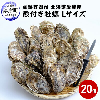 厚岸産 殻付き牡蠣Lサイズ20個入(加熱容器付)北海道 牡蠣 カキ かき 生食 生食用 ミルク レンジ　【魚貝類 生牡蠣 かき カキ 送料無料 新鮮 濃厚 大粒 メルマガ掲載商品2】　お届け：2023年11月～