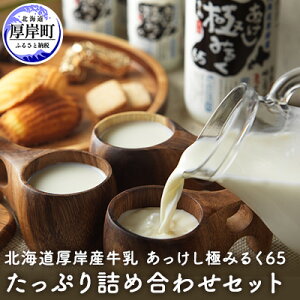 【ふるさと納税】北海道 厚岸産 牛乳 あっけし極みるく65 たっぷり詰め合わせセット 牛乳 ミルク　...