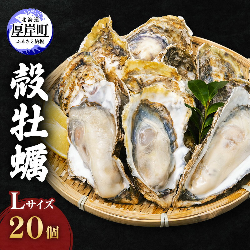 厚岸産 殻牡蠣 Lサイズ 20個 セットカキ 牡蠣　【魚介類 牡蠣 カキ 送料無料 新鮮 濃厚 大粒 メルマガ掲載商品2】