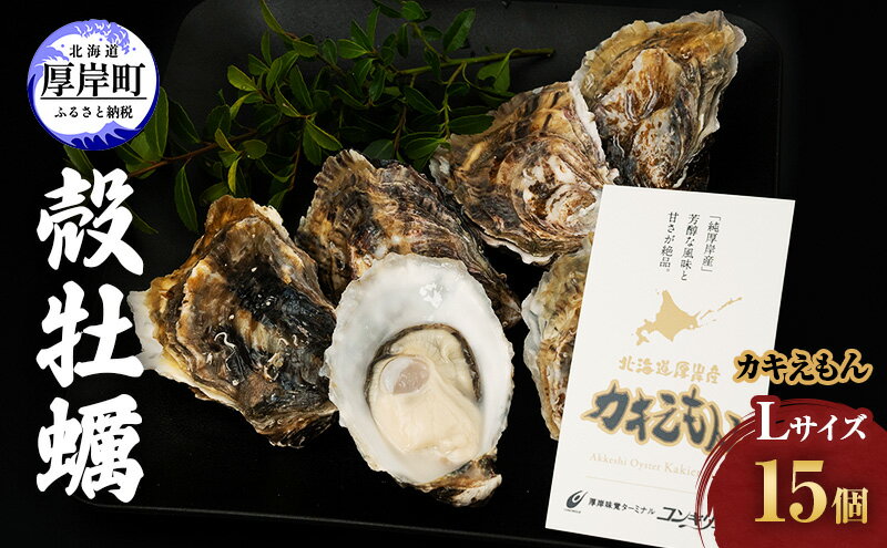 【ふるさと納税】厚岸産 牡蠣 カキえもん Lサイズ 15個 北海道 牡蠣 カキ かき 生食 生食用 生牡蠣　【魚貝類 生牡蠣 かき カキ シーフード】　お届け：2023年11月～2024年7月31日まで