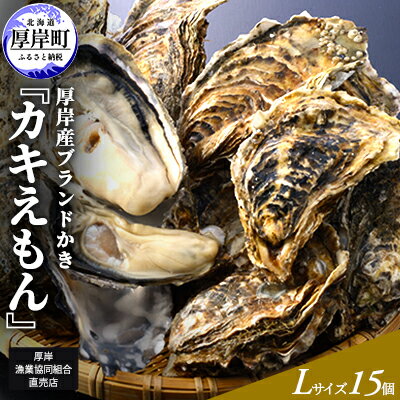 厚岸産ブランドかき カキえもん Lサイズ 15個セット 北海道 牡蠣 カキ かき 生食 生食用 生牡蠣　【魚介類・カキ・牡蠣】　お届け：2023年11月～2024年7月31日まで