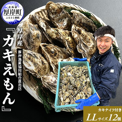 【ふるさと納税】厚岸産 ブランドかき カキえもん LLサイズ 12個 牡蠣　【魚介類・カキ・牡蠣】　お届け：2023年11月～2024年7月30日まで