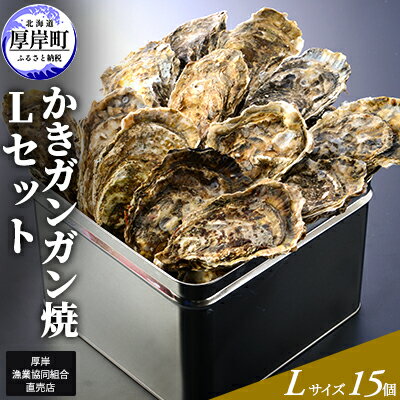 【厚岸漁協直売店特製】 かきガンガン焼 Lセット 15個 北海道 牡蠣 カキ かき 生牡蠣 殻付 　【魚介類・カキ・牡蠣】