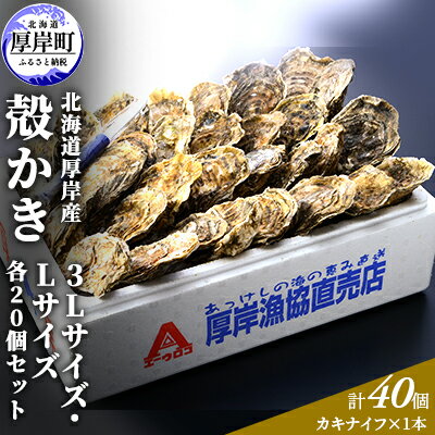 名称殻付きカキ（生食用）内容量厚岸産殻かき3Lサイズ×20個（殻の重量を含めて150g以上） Lサイズ×20個（殻の重量を含めて90g～120g未満） 計40個 カキナイフ×1本産地北海道厚岸湾消費期限発送日含め5日賞味期限-保存方法要冷蔵10℃以下加工業者厚岸漁業協同組合直売店北海道厚岸郡厚岸町事業者厚岸漁業協同組合配送方法冷蔵配送備考※画像はイメージです。※沖縄・離島は配送不可地域となります。 ※上記のエリアからの申し込みは返礼品の手配が出来ないため、「キャンセル」または「寄附のみ」とさせていただきます。予めご了承ください。※出荷時期になりましたら、別途メールにてお届けについてのご案内をさせていただきます。※天候、漁獲状況によりお届け予定日がずれこむ場合もございます。※生ものにつき、到着後すぐにお召し上がりください。※消費期限：発送日を含め冷蔵5日目安※長期不在のご予定があれば、「お届けについてのご案内メール」に記載されているお問い合わせセンターへ返信または、お電話ください。　尚、長期不在等によりお礼の品をお受取りできなかった場合、再発送はできません。　お礼の品の消費期限が過ぎた場合は、破棄させていただきます。 ・ふるさと納税よくある質問はこちら ・寄附申込みのキャンセル、返礼品の変更・返品はできません。あらかじめご了承ください。【ふるさと納税】厚岸産 殻かき 3L 20個・L 20個セット (合計40個) 北海道 牡蠣 カキ かき 生食 　【魚介類 カキ】 北海道厚岸名産の『かき』は徹底した品質管理により、通年出荷可能です！豊かな自然の恵みいっぱいのおいしい『かき』をご堪能ください。便利なカキナイフ付です！ 寄附金の用途について (1)保健福祉の向上に関する事業 (2)防災対策に関する事業 (3)地域産業の振興に関する事業 (4)観光振興に関する事業 (5)環境対策に関する事業 (6)教育振興に関する事業 (7)指定なし 受領証明書及びワンストップ特例申請書のお届けについて 【受領証明書】入金確認後、注文内容確認画面の【注文者情報】に記載の住所にお送りいたします。発送の時期は入金確認後1～2週間程度を目途に、お礼の特産品とは別にお送りいたします。