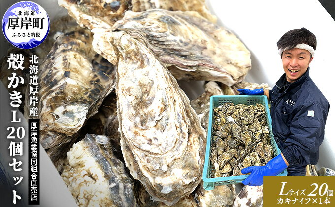 【ふるさと納税】厚岸産 殻かき L 20個セット 北海道 牡蠣 カキ かき 生食 　【魚介類 カキ】