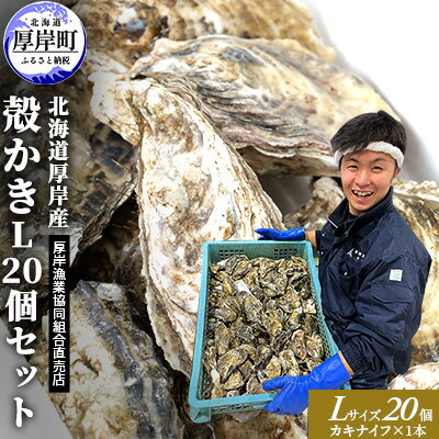 【ふるさと納税】厚岸産 殻かき L 20