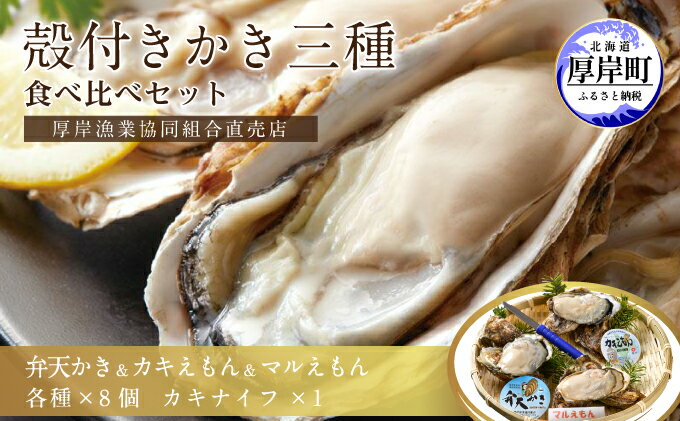 【ふるさと納税】 北海道厚岸産【殻かき三種】食べ比べセット　【魚貝類 生牡蠣 かき 送料無料 新鮮 濃厚 大粒】　お届け：2023年11月1日～2024年6月30日頃まで