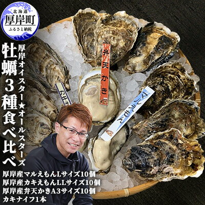 北海道 牡蠣 3種 食べ比べ セット 厚岸オイスター★オールスターズ 生食　【 生牡蠣 貝付き牡蠣 貝 海鮮 魚介類 殻付き牡蠣 カキ 】　お届け：2023年11月～2024年6月末頃