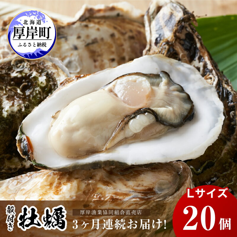 2位! 口コミ数「1件」評価「3」定期便 3ヶ月 北海道 厚岸産 牡蠣 Lサイズ 20個 (各回20個×3ヶ月分,合計60個) 殻付き 生食 カキナイフ付き かき カキ　【定･･･ 